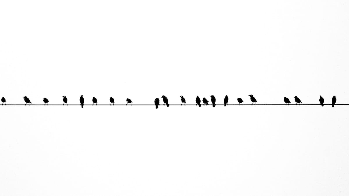 Not a Defendant But A Co-Conspirator