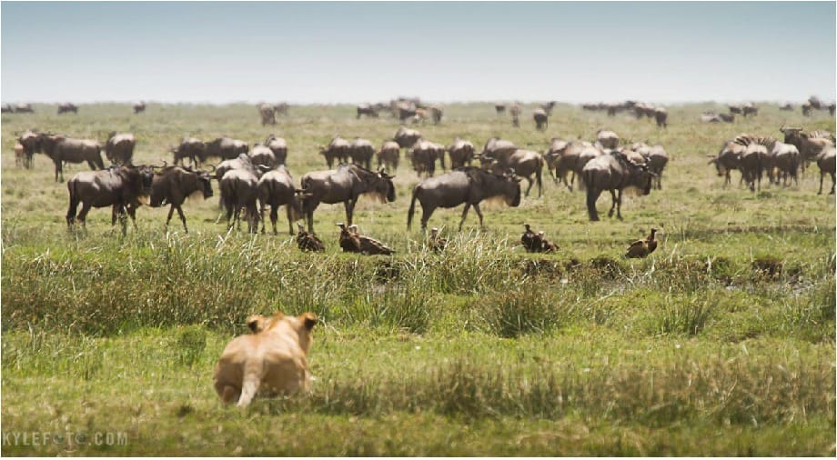 Do Not Minimize Ragnarok: Very Serious Legal Threat, Part 2