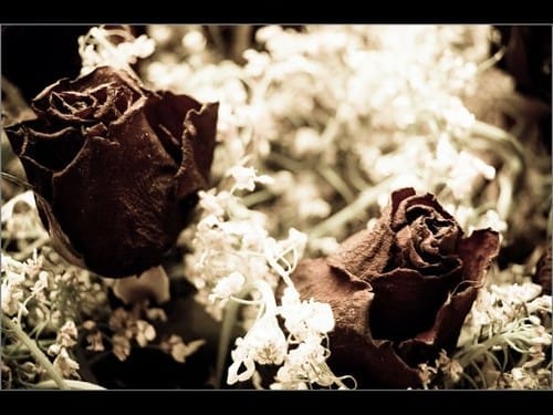 In Case You Were Feeling Optimistic Today...