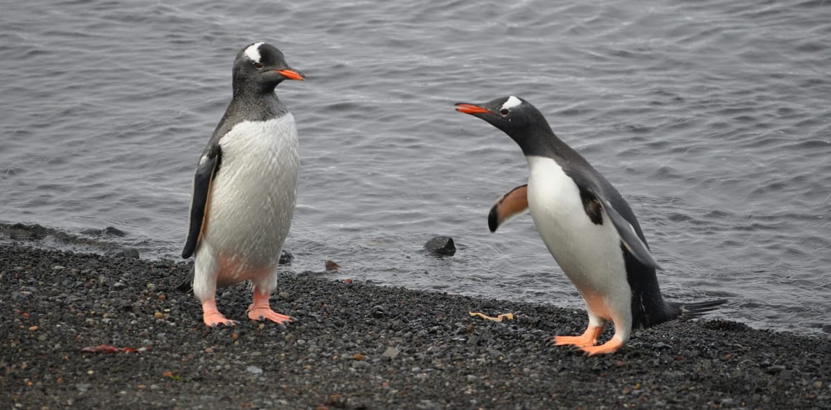 On the MLS PIN Response to the DOJ