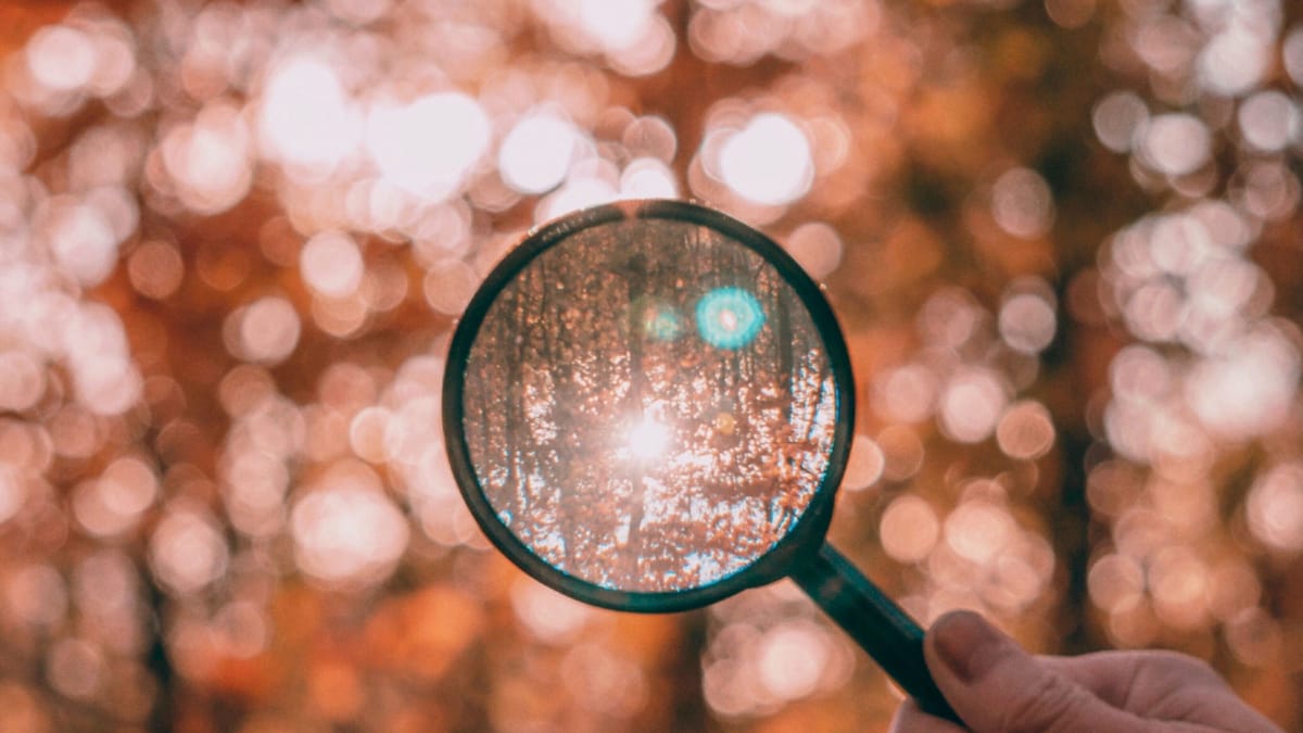 Details Emerge from the Anywhere and RE/MAX Settlements