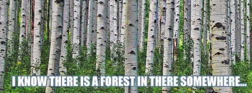 Forest for the Trees: the NAR Expenses Edition