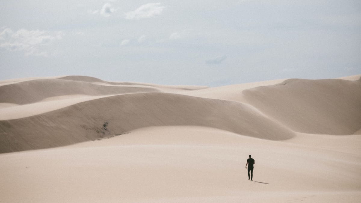 [VIP] Zillow 3Q22 Earnings: Lonesome Dove