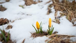 2023 Starts With Hopeful Signs, or Average People Are Smarter Than a Writer for The Atlantic