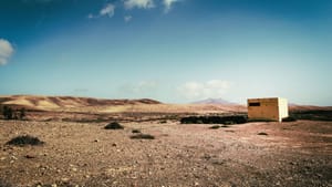 Real Estate in the Time of Cholera: The Aftermath, Part 1 - Brokerages