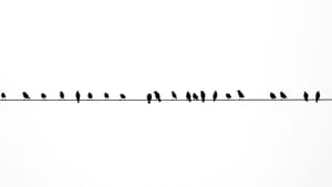 Not a Defendant But A Co-Conspirator