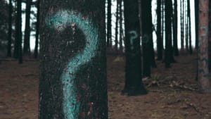 Questions for Cory Shepard, SDAR, CAR and NAR