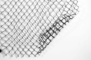 Pass Clear Cooperation Policy, But Address the Gaping Loophole