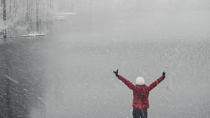 The Big Winners So Far in Sitzer v NAR: Re/Max and Anywhere