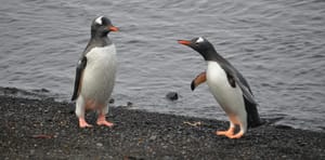 On the MLS PIN Response to the DOJ