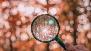 Details Emerge from the Anywhere and RE/MAX Settlements