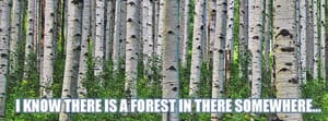 Forest for the Trees: the NAR Expenses Edition