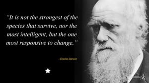 Prepper 101: Agents and Agent Teams