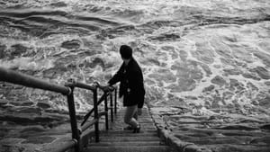 Q3/2020, Redfin, Realogy, eXp: Tide is High