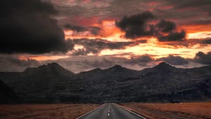 Real Estate in the Time of Cholera: The Aftermath, Part 2 - MLS & Associations