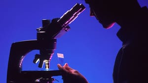 An Analysis of the Court's Dismissal of HomeServices from Batton v. NAR