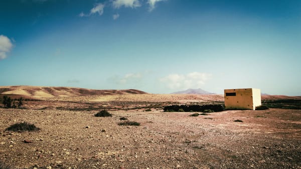 Real Estate in the Time of Cholera: The Aftermath, Part 1 - Brokerages