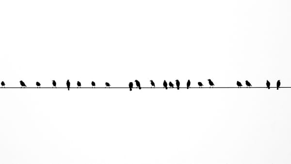 Not a Defendant But A Co-Conspirator