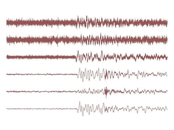 A Slight Tremor or Foreshock?