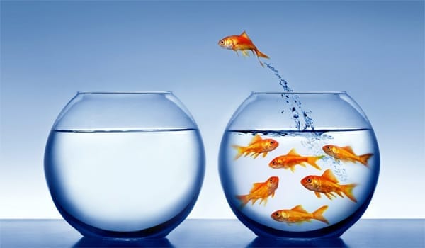 Concerning A Challenge for Positive Change, A Few Thoughts