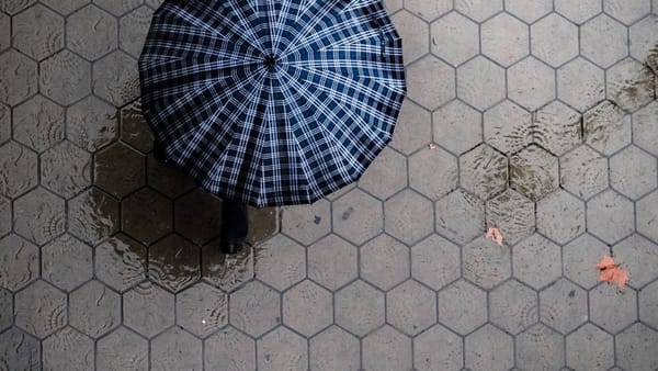 Most Brokerages Have Zero Counter-Cyclical Hedge