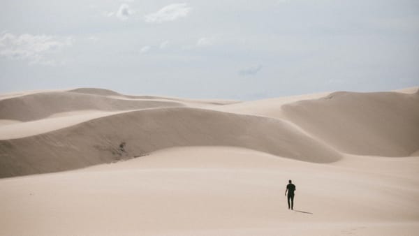 [VIP] Zillow 3Q22 Earnings: Lonesome Dove