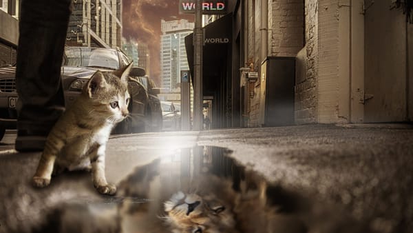 Pretty Lies: The Real Estate Agent Edition