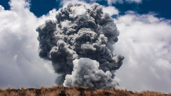 Quick Reaction to the NAR-DOJ Settlement on MLS