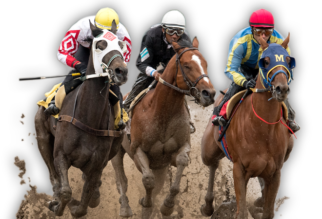 Redfin to Overtake Realtor.com by 2020?